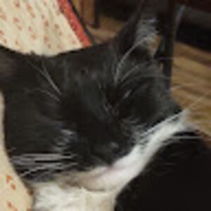 Meet your Posher, Isabella